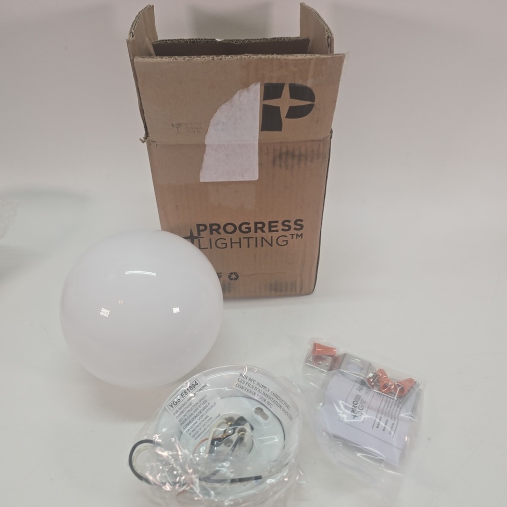 Progress Lighting P3605-30 White 1-Light Flush Mount with White Glass